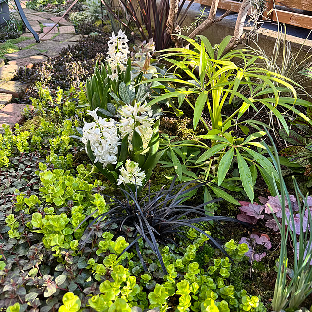 kyoko1124koさんの実例写真