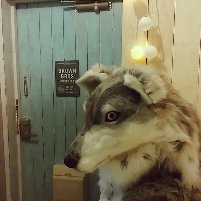 jankenkenさんの実例写真