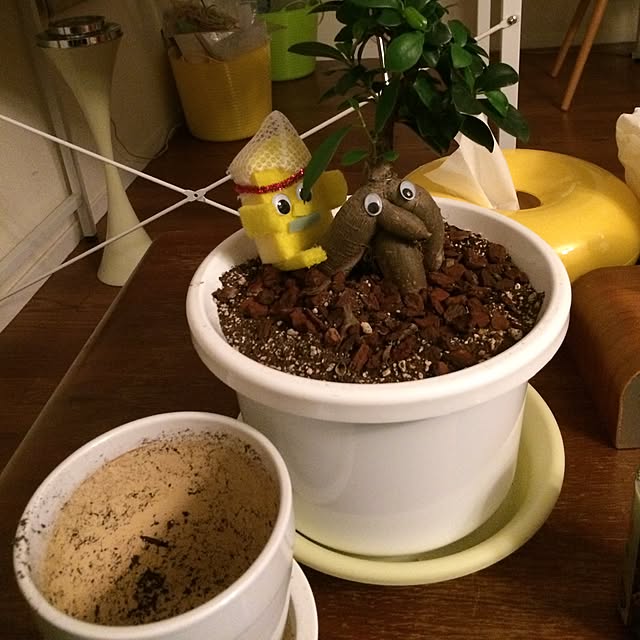 petty_betty_mushroomさんの実例写真