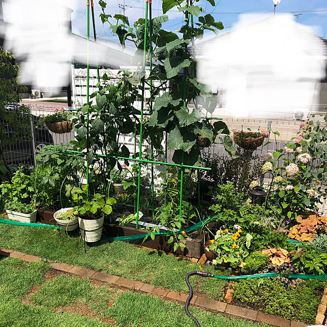 pinkflower_Potagerさんの部屋
