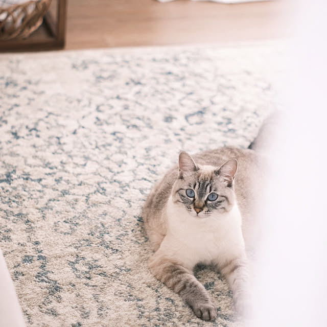 m_mさんの実例写真