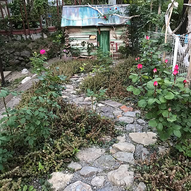 pepeさんの実例写真