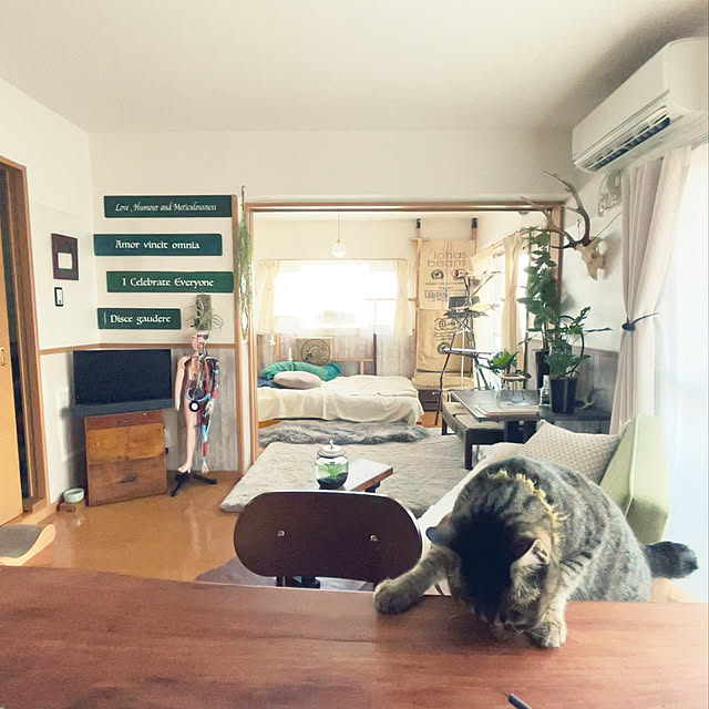 Mさんの実例写真