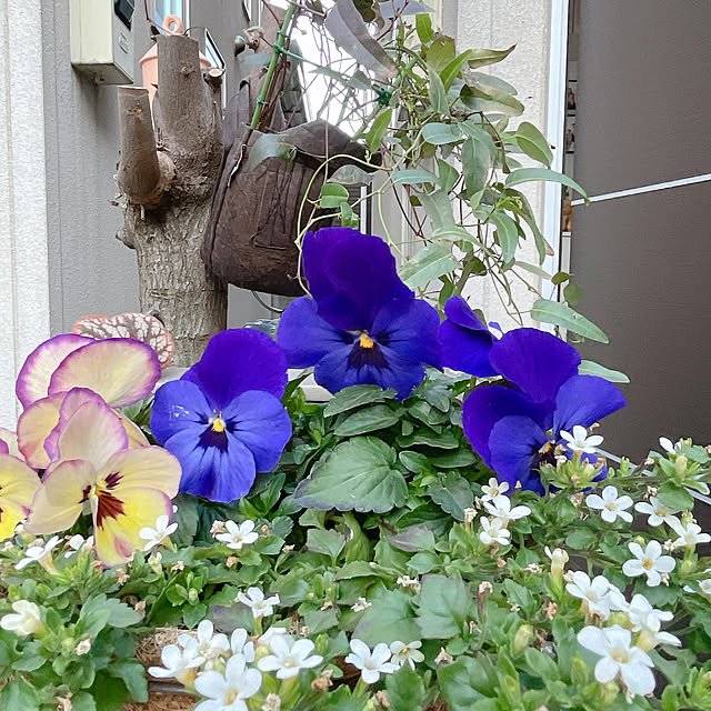 nahonさんの実例写真