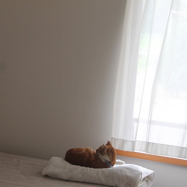 gguuiiさんの実例写真