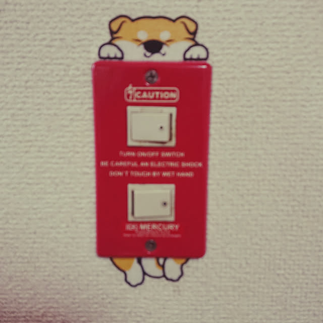 ponnkitiさんの実例写真