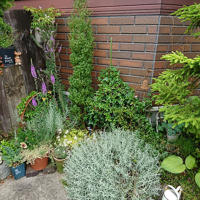 demetanさんの実例写真