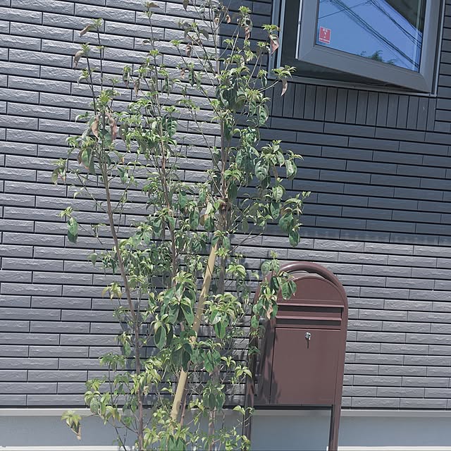 taroさんの実例写真