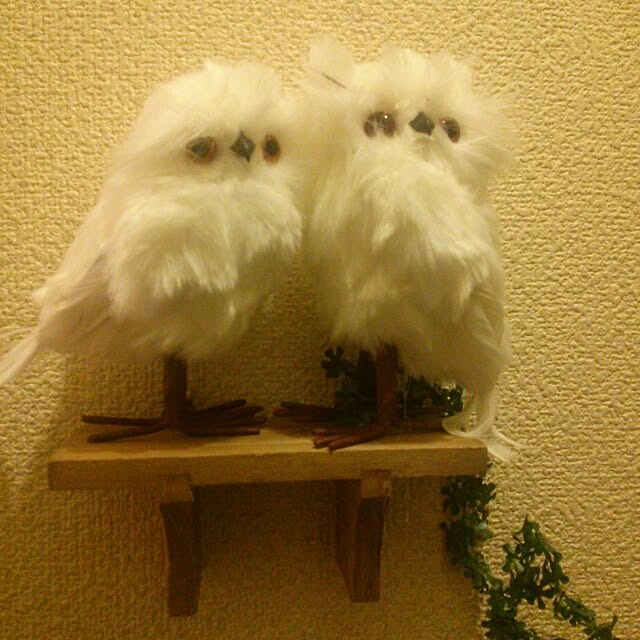 powさんの実例写真