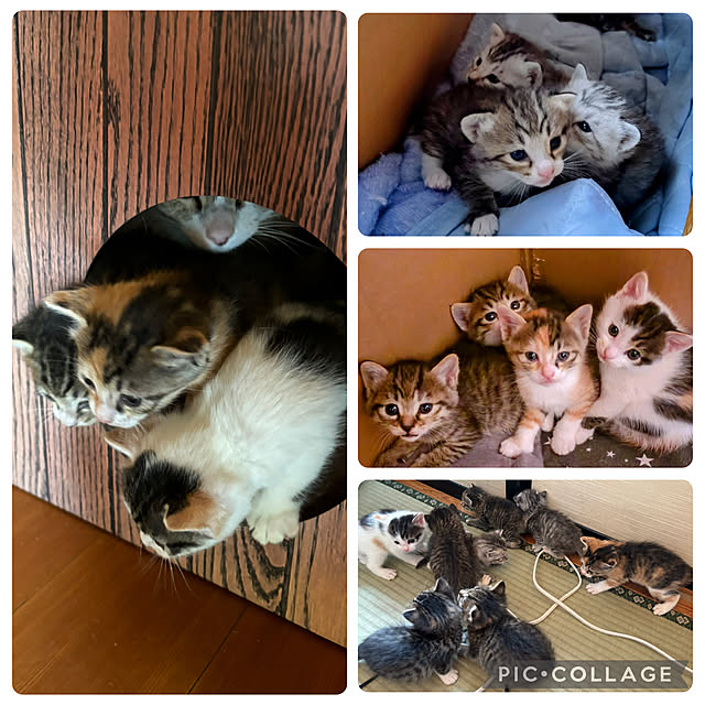 CoCo0617さんの部屋