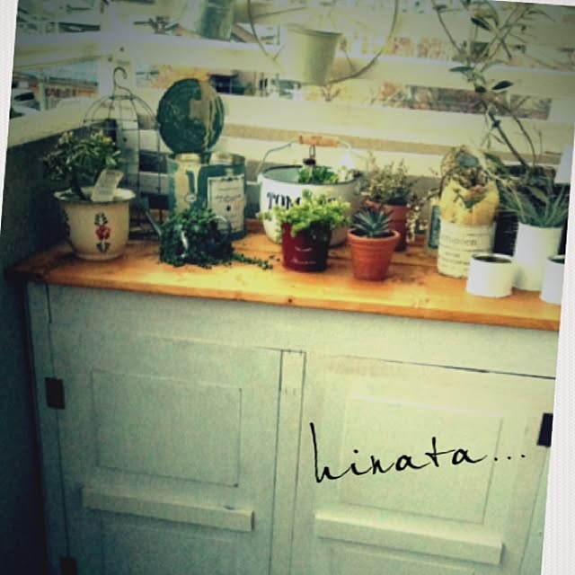 hinataさんの実例写真