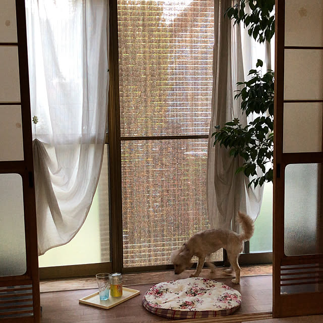 hama1219さんの実例写真