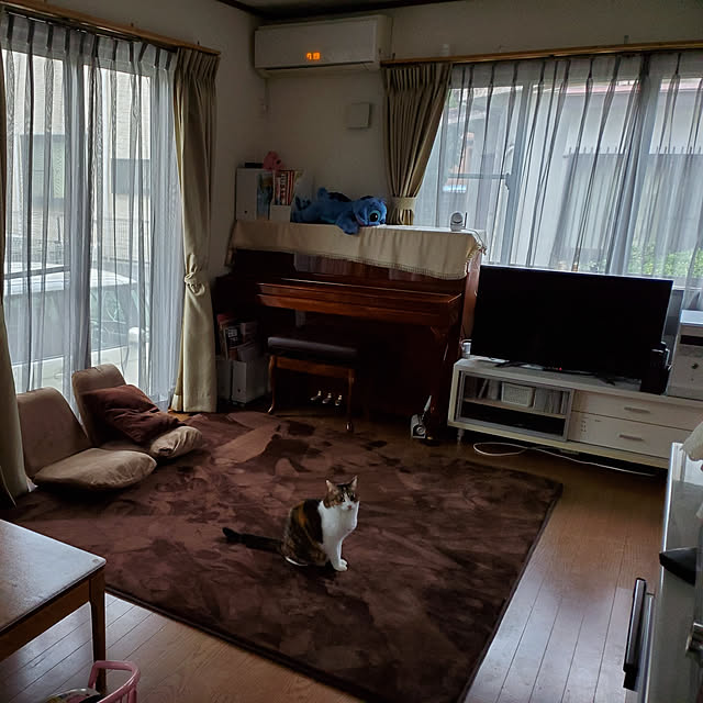 実例写真