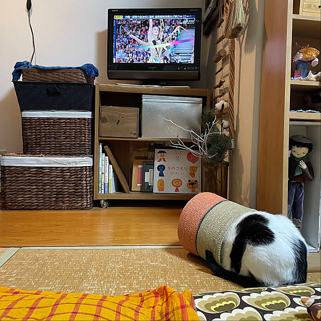 nobikoさんの部屋