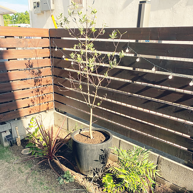 ___.homeさんの実例写真