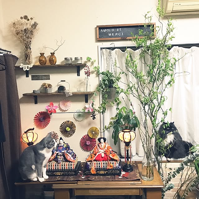 mucc08さんの実例写真