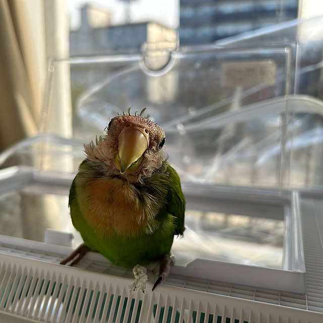 t.and.sakuraさんの実例写真