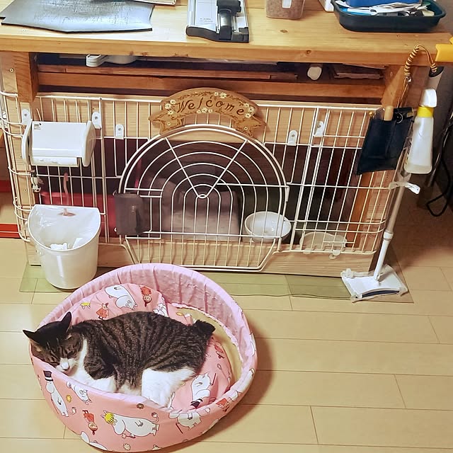 civicglさんの部屋
