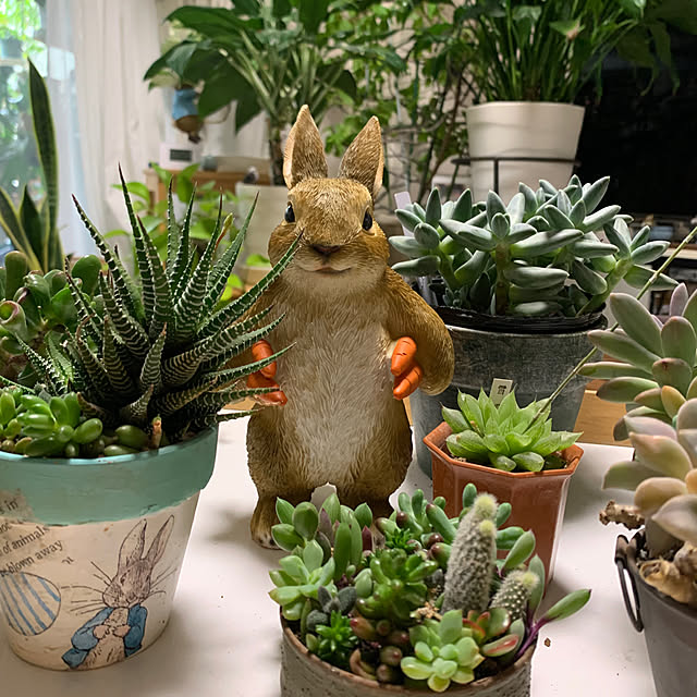 Aqettyさんの実例写真