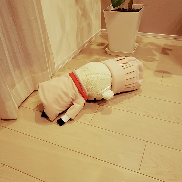 masaさんの実例写真