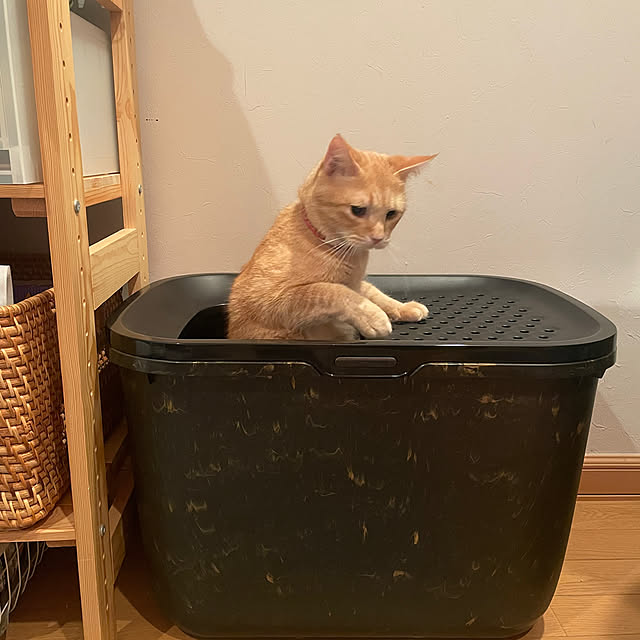 okogeさんの部屋