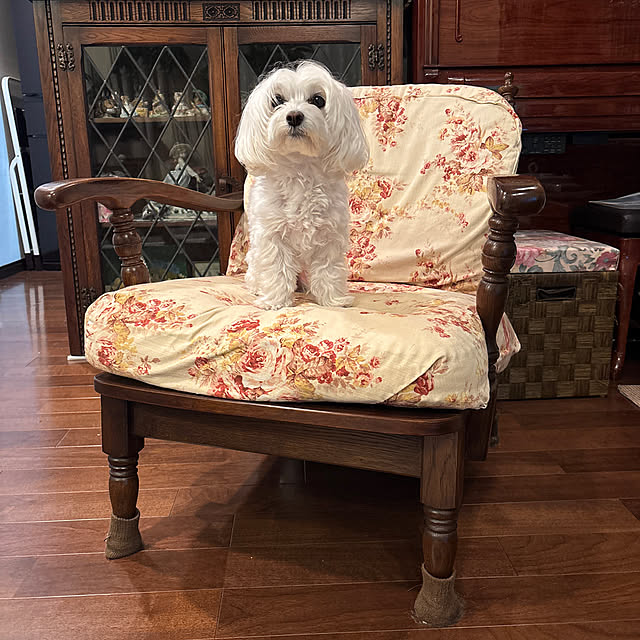 sakuraさんの実例写真