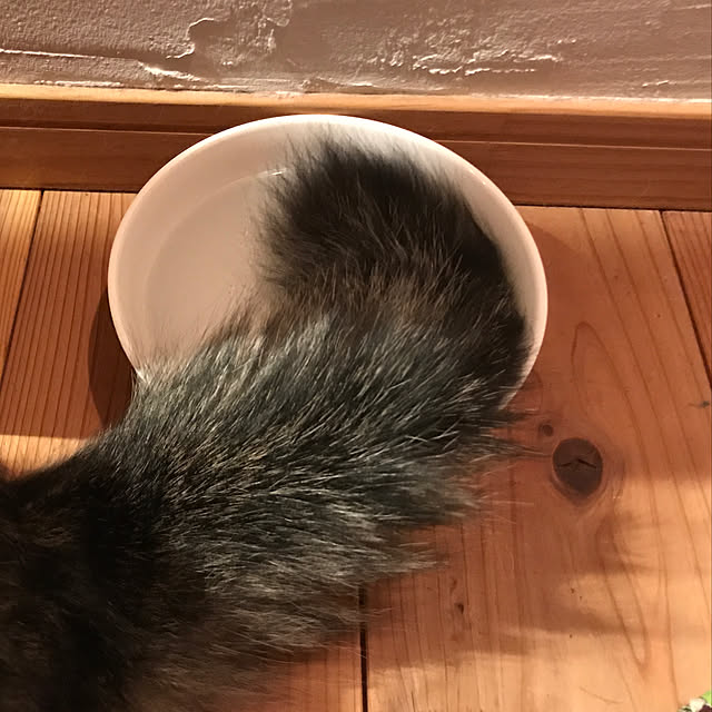 sakurasakuさんの実例写真