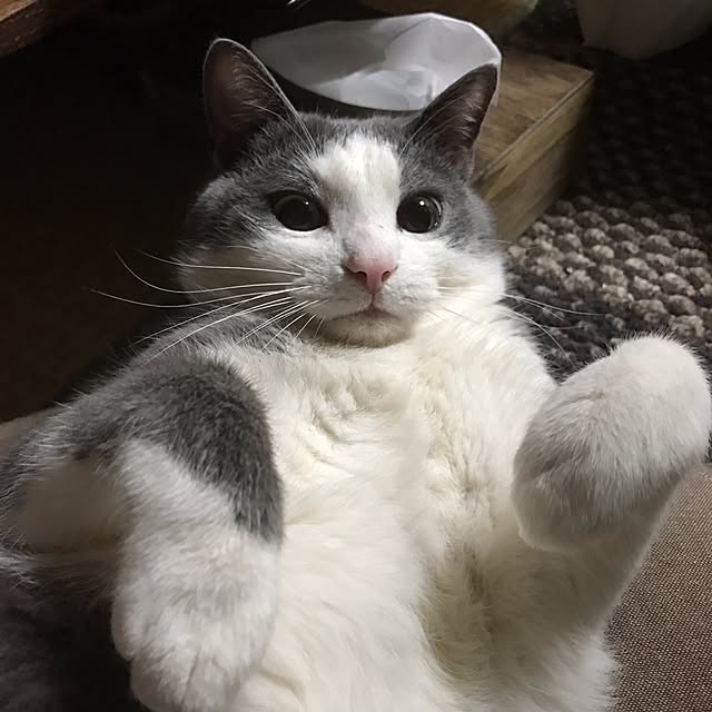 mucc08さんの実例写真