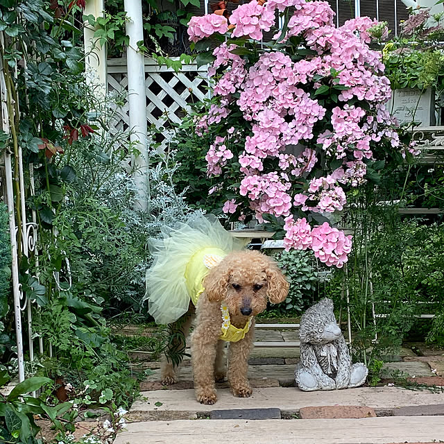 mさんの実例写真