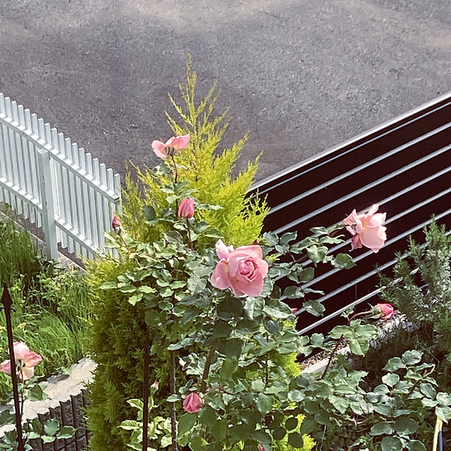 r_rさんの実例写真