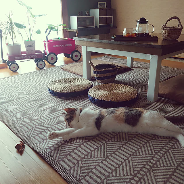 fukuさんの実例写真