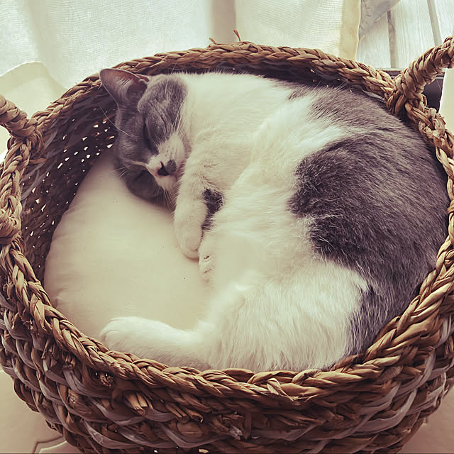 poporonさんの実例写真