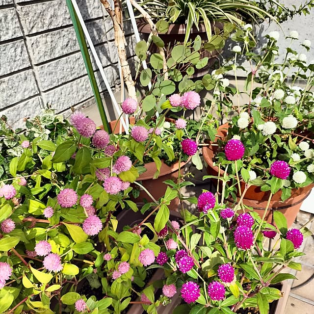 pua.dekoさんの部屋