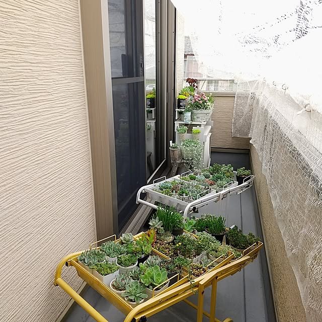 meiさんの部屋