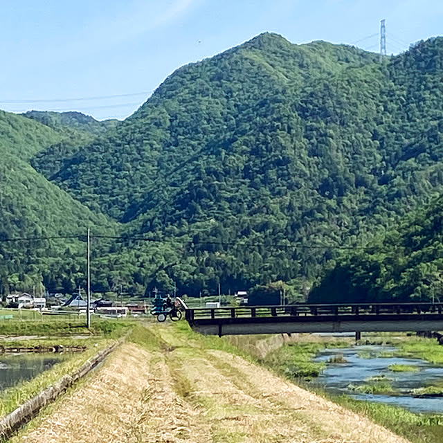 cota2さんの部屋