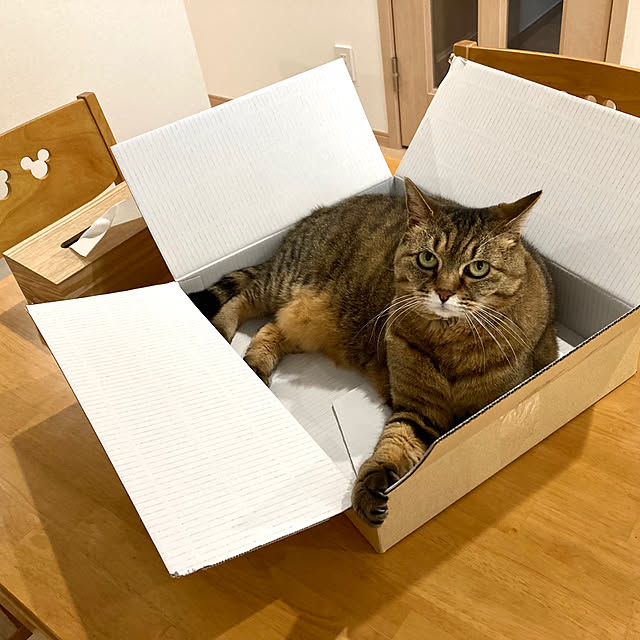 kirinsanさんの部屋