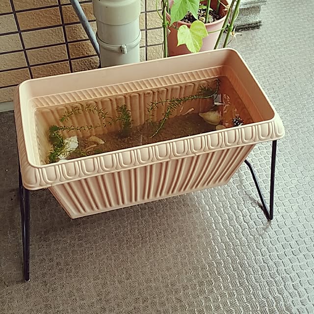 KEIKOさんの実例写真