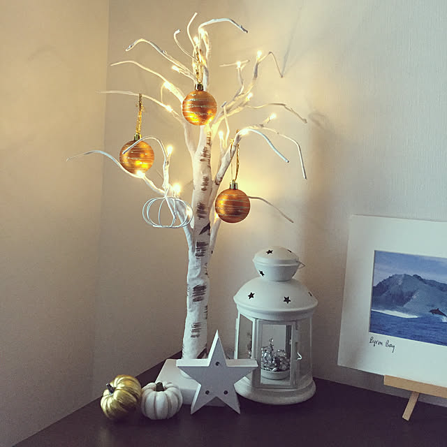craneさんの実例写真