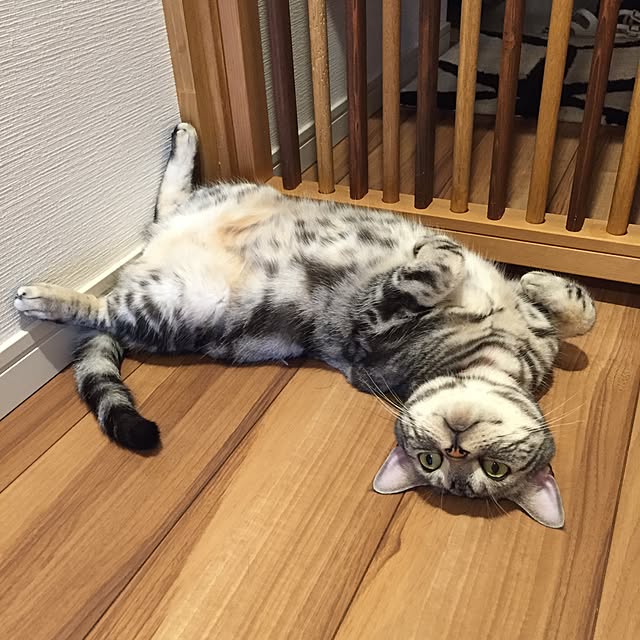 Ryokoさんの実例写真