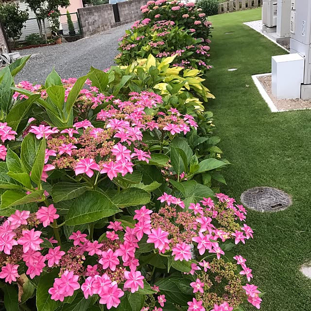 kinakoさんの実例写真