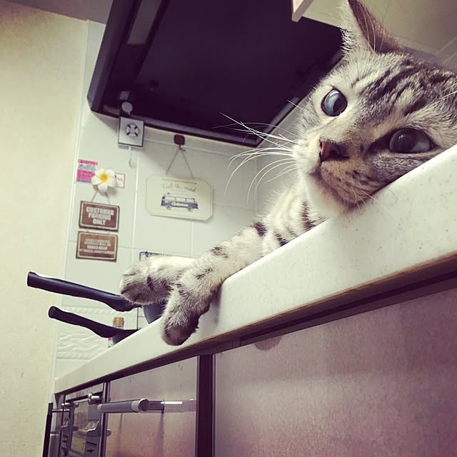 sato04mi06さんの実例写真