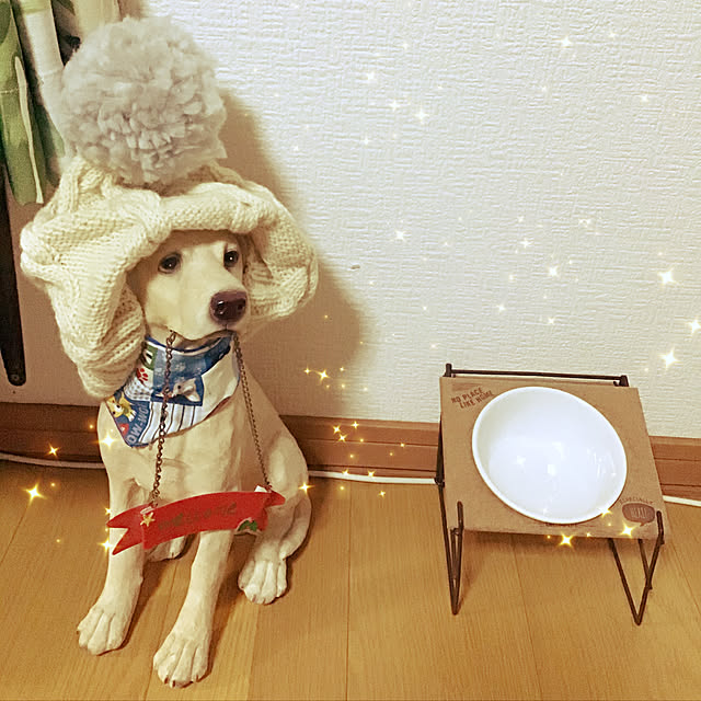 sakuさんの実例写真