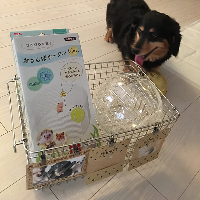 ohanaさんの実例写真