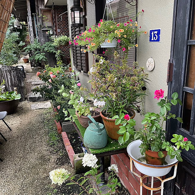 shin0719さんの部屋