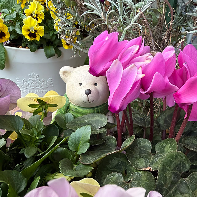 Aqettyさんの部屋