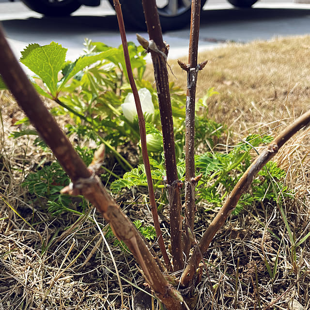 kurinokiさんの部屋