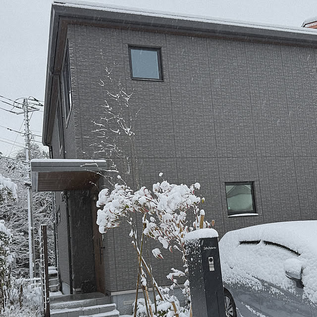 shior_i1108さんの実例写真