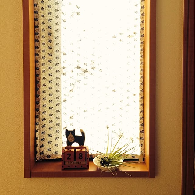 sakuさんの実例写真