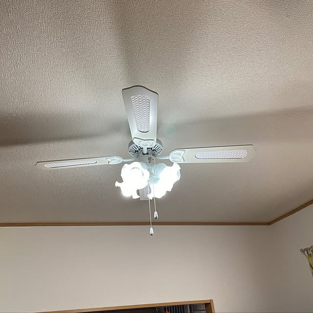 Othellocatさんの実例写真