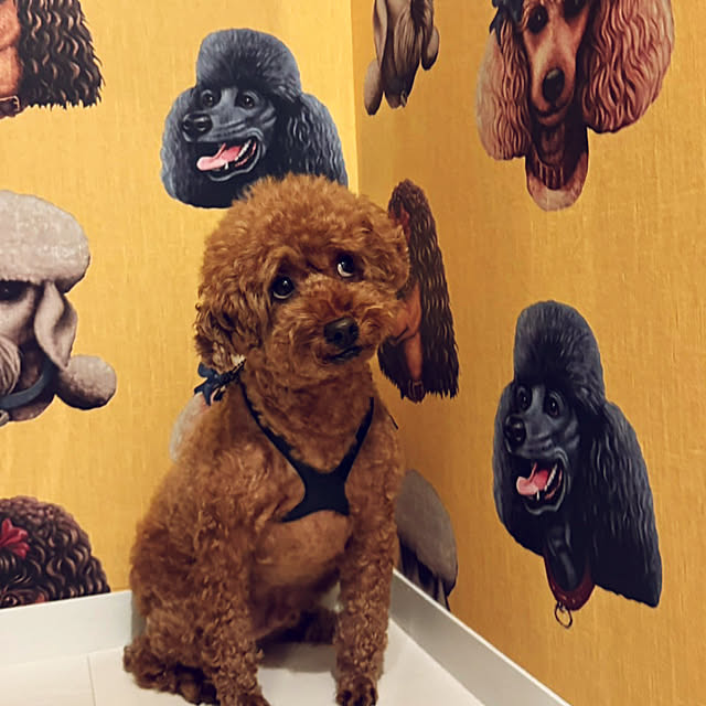 nackeyさんの部屋